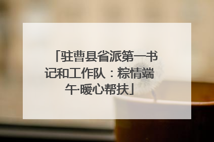 驻曹县省派第一书记和工作队：粽情端午·暖心帮扶