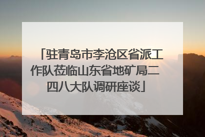 驻青岛市李沧区省派工作队莅临山东省地矿局二四八大队调研座谈