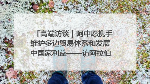 高端访谈｜阿中愿携手维护多边贸易体系和发展中国家利益——访阿拉伯议会议长亚马希