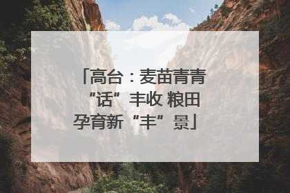 高台：麦苗青青“话”丰收 粮田孕育新“丰”景
