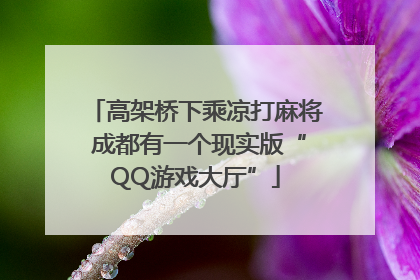高架桥下乘凉打麻将 成都有一个现实版“QQ游戏大厅”