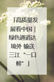 高质量发展看中国｜绿色通道达境外 输送三江“一口鲜”