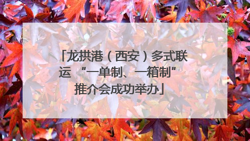 龙拱港（西安）多式联运 “一单制、一箱制” 推介会成功举办
