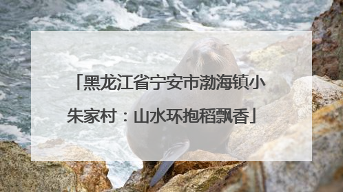 黑龙江省宁安市渤海镇小朱家村：山水环抱稻飘香