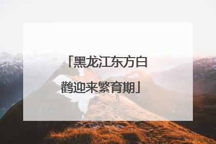 黑龙江东方白鹳迎来繁育期