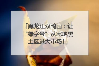 黑龙江双鸭山：让“绿字号”从寒地黑土挺进大市场