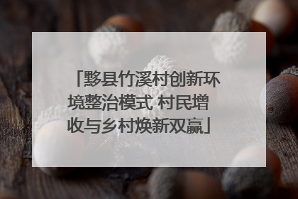 黟县竹溪村创新环境整治模式 村民增收与乡村焕新双赢