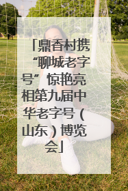 鼎香村携“聊城老字号”惊艳亮相第九届中华老字号（山东）博览会