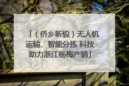 （侨乡新貌）无人机运输、智能分拣 科技助力浙江杨梅产销