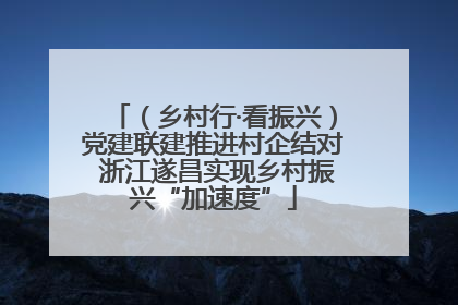 （乡村行·看振兴）党建联建推进村企结对 浙江遂昌实现乡村振兴“加速度”