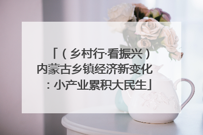 （乡村行·看振兴）内蒙古乡镇经济新变化：小产业累积大民生