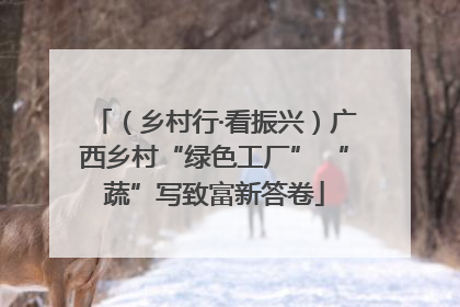 （乡村行·看振兴）广西乡村“绿色工厂” “蔬”写致富新答卷