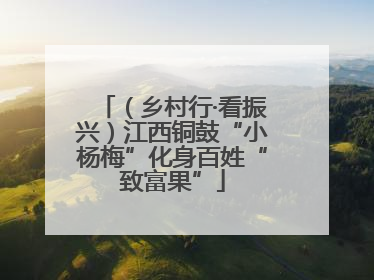 （乡村行·看振兴）江西铜鼓“小杨梅”化身百姓“致富果”