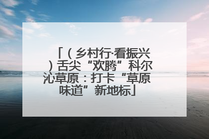 （乡村行·看振兴）舌尖“欢腾”科尔沁草原：打卡“草原味道”新地标