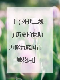 （外代二线）历史植物助力修复庞贝古城花园