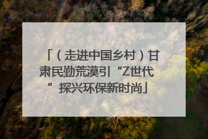 （走进中国乡村）甘肃民勤荒漠引“Z世代”探兴环保新时尚