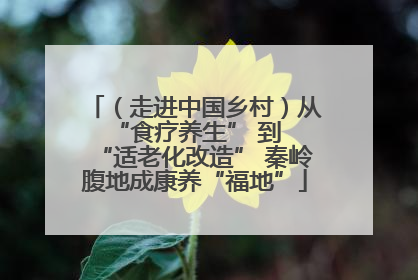 （走进中国乡村）从 “食疗养生” 到 “适老化改造” 秦岭腹地成康养“福地”