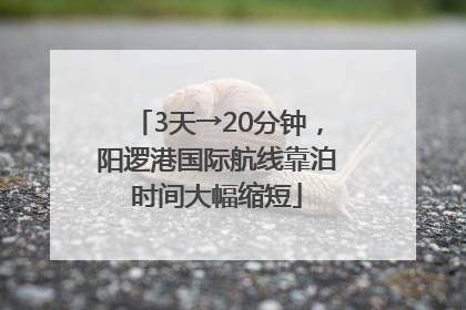3天→20分钟，阳逻港国际航线靠泊时间大幅缩短