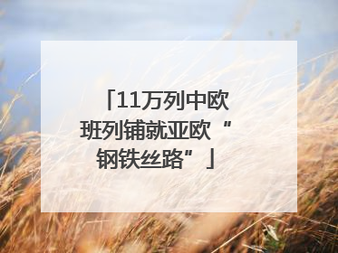 11万列中欧班列铺就亚欧“钢铁丝路”