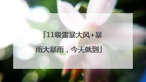 11级雷暴大风+暴雨大暴雨，今天就到