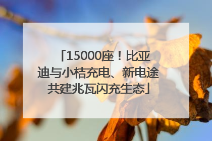 15000座！比亚迪与小桔充电、新电途共建兆瓦闪充生态