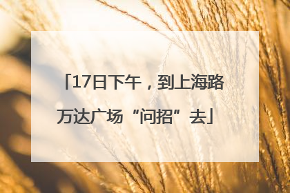 17日下午，到上海路万达广场“问招”去