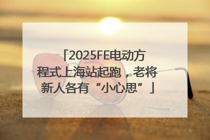 2025FE电动方程式上海站起跑，老将新人各有“小心思”