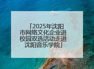 2025年沈阳市网络文化企业进校园双选活动走进沈阳音乐学院