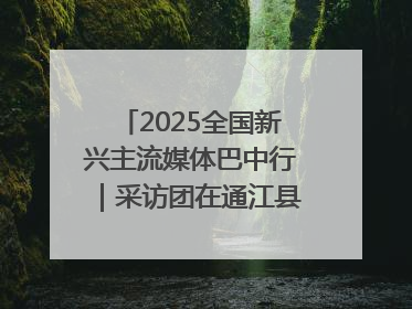2025全国新兴主流媒体巴中行｜采访团在通江县瞻仰全国最大红军烈士陵园