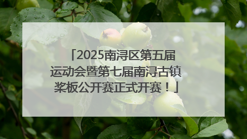 2025南浔区第五届运动会暨第七届南浔古镇桨板公开赛正式开赛！