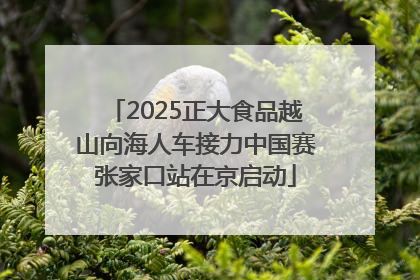 2025正大食品越山向海人车接力中国赛张家口站在京启动