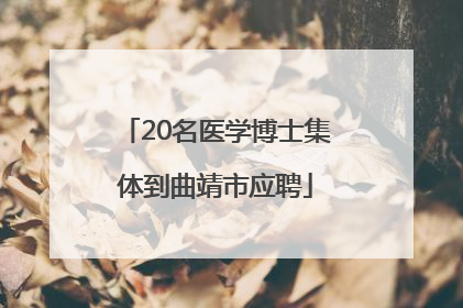 20名医学博士集体到曲靖市应聘