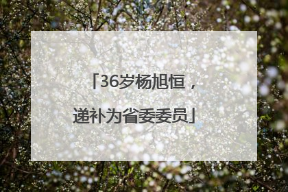36岁杨旭恒，递补为省委委员