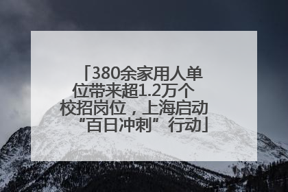380余家用人单位带来超1.2万个校招岗位，上海启动“百日冲刺”行动