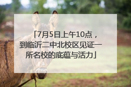 7月5日上午10点，到临沂二中北校区见证一所名校的底蕴与活力