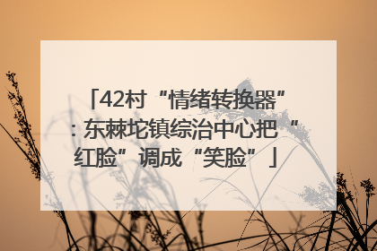 42村“情绪转换器”：东棘坨镇综治中心把“红脸”调成“笑脸”