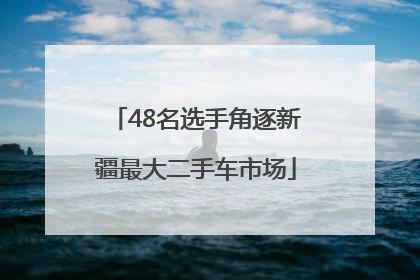 48名选手角逐新疆最大二手车市场