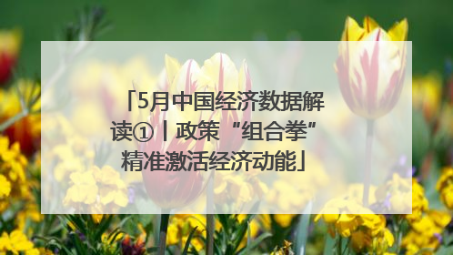 5月中国经济数据解读①丨政策“组合拳”精准激活经济动能