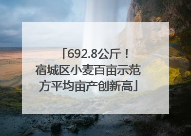 692.8公斤！宿城区小麦百亩示范方平均亩产创新高
