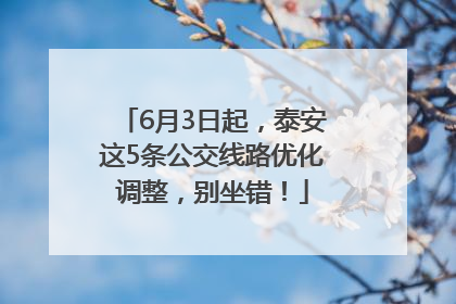 6月3日起，泰安这5条公交线路优化调整，别坐错！