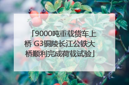9000吨重载货车上桥 G3铜陵长江公铁大桥顺利完成荷载试验