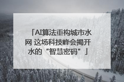 AI算法重构城市水网 这场科技峰会揭开水的“智慧密码”